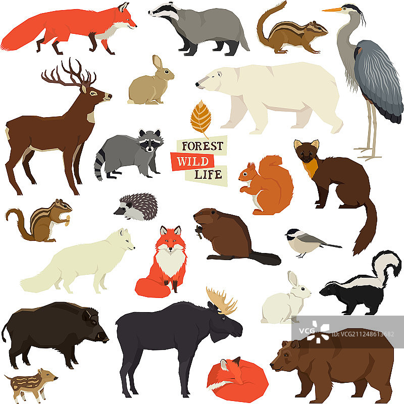 森林野生动物元素图片素材