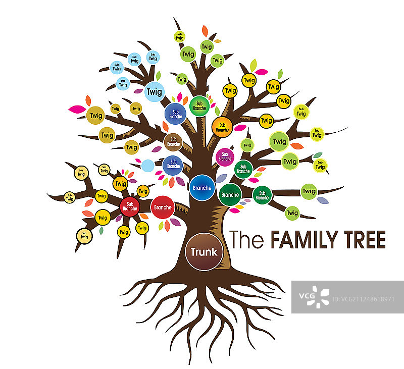 家谱人树图片素材