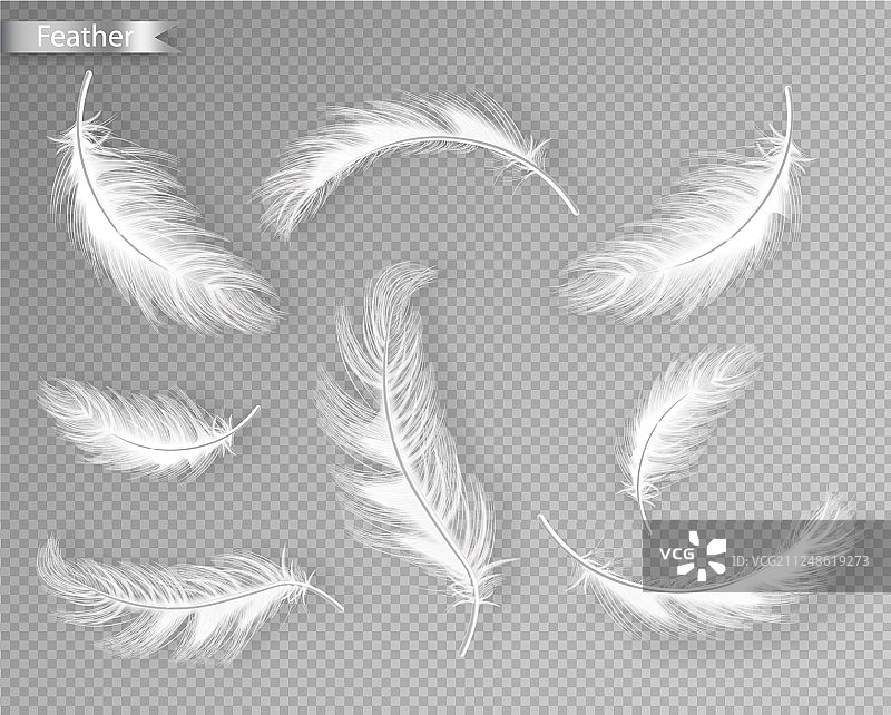 逼真白色羽毛合集图片素材