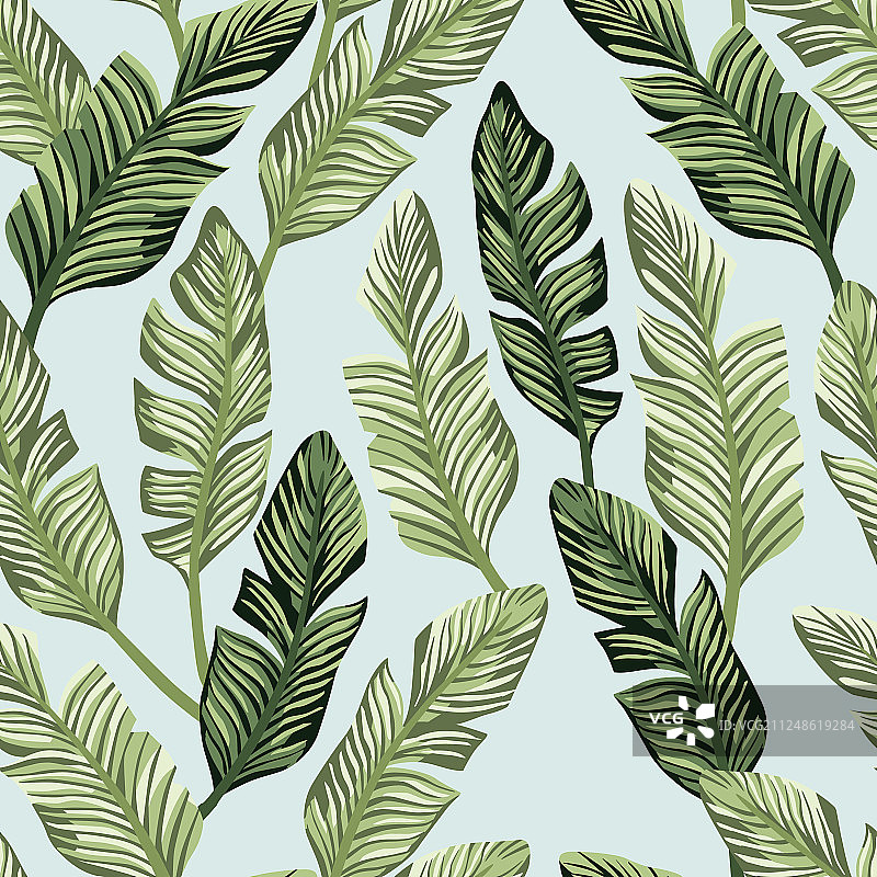 白色背景上的绿色香蕉叶（无缝）图片素材