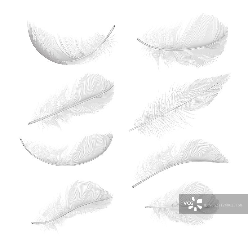 各种逼真鸟羽毛合集图片素材