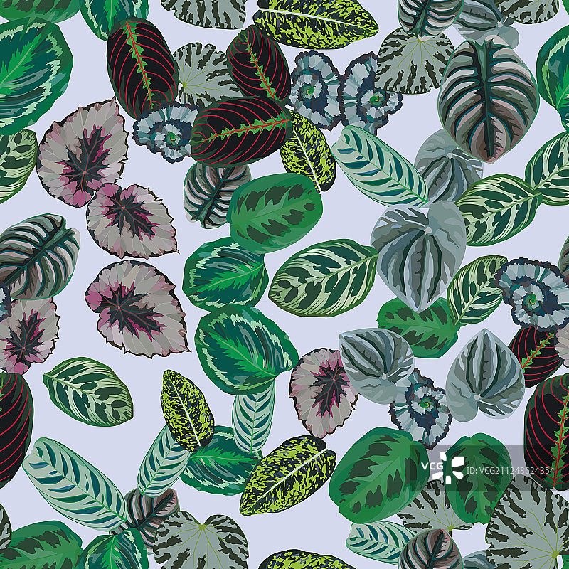 彩色树叶无缝图案浅灰色背景图片素材