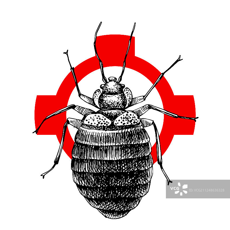 手绘床虱交叉阴影图案图片素材