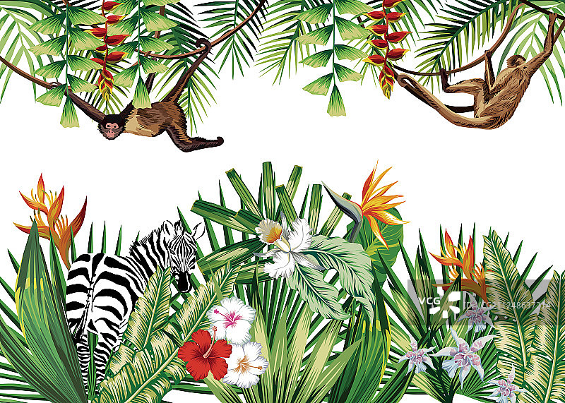 热带花卉植物猴子斑马图案图片素材