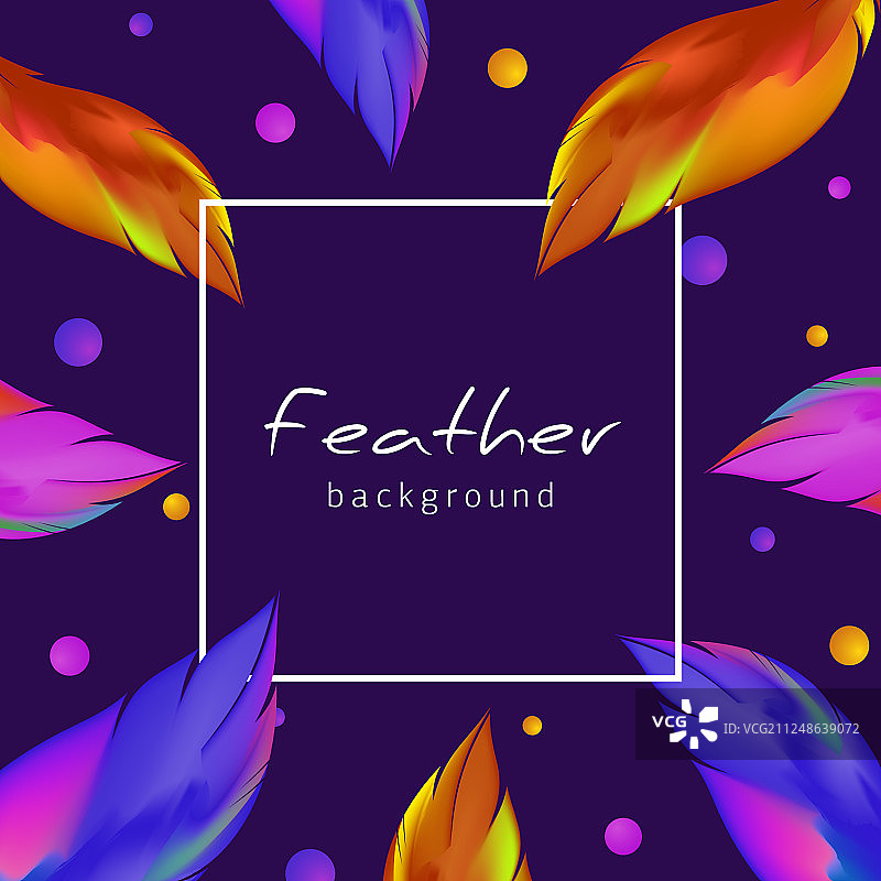 彩色羽毛背景异国情调鸟类羽毛图片素材