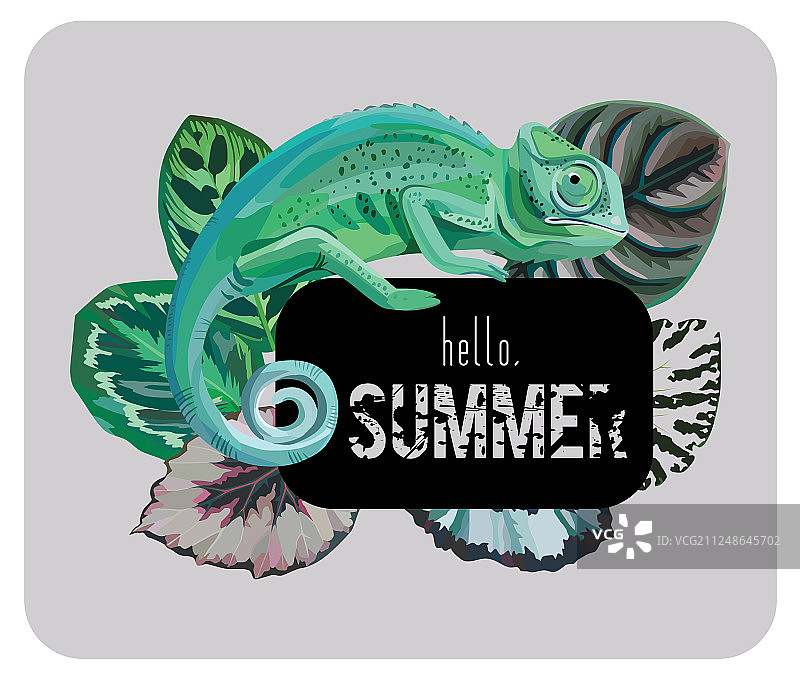 你好夏天变色龙标语图片素材