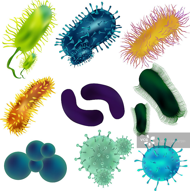 病毒和细菌素材图片素材