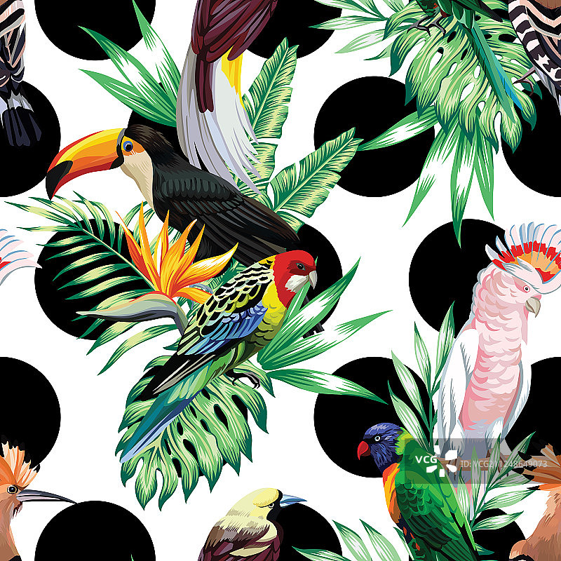 热带鸟类和棕榈叶图案（黑色）图片素材