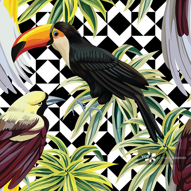 热带鸟类植物几何图案图片素材