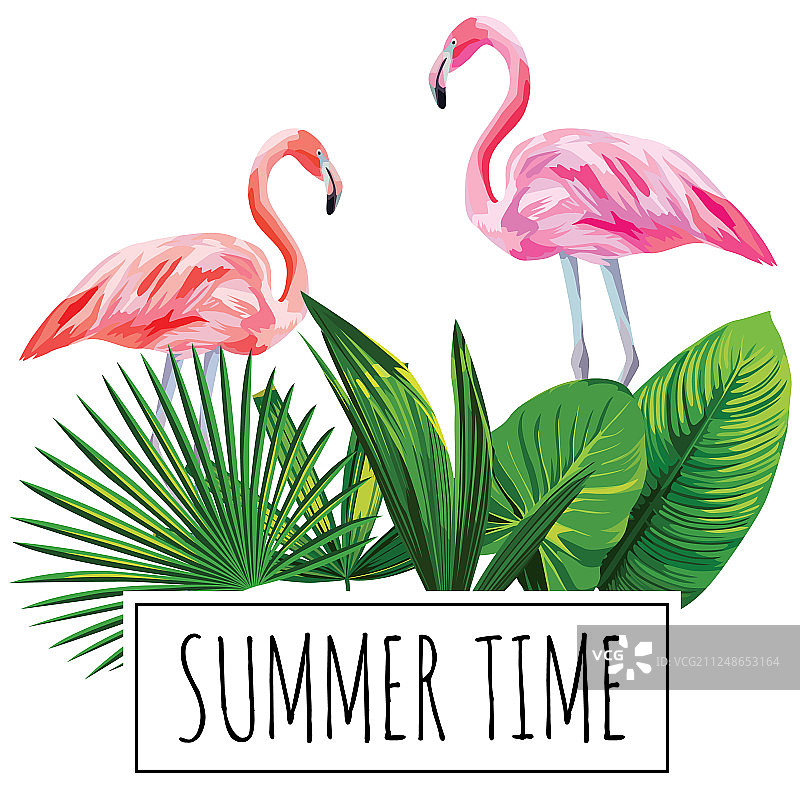 夏季热带树叶火烈鸟标语图片素材