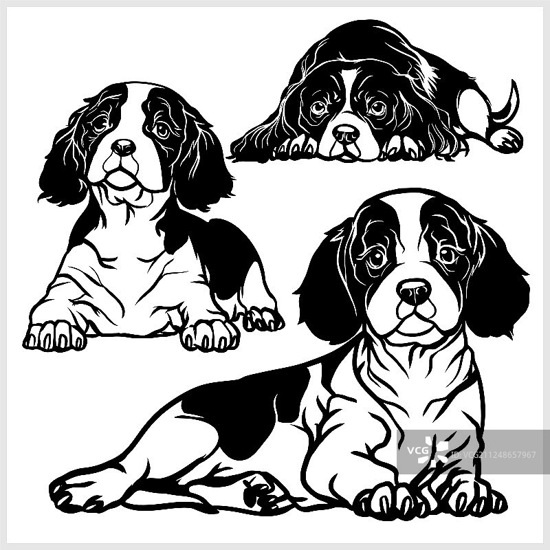 查理王小猎犬图案合集图片素材