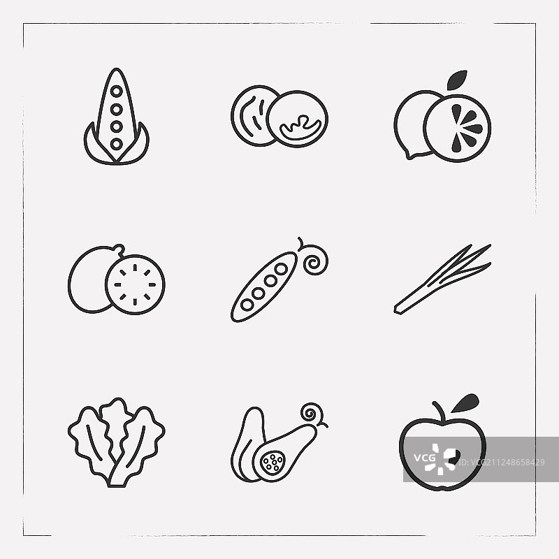 维生素图标线性风格符号与韭菜合集图片素材