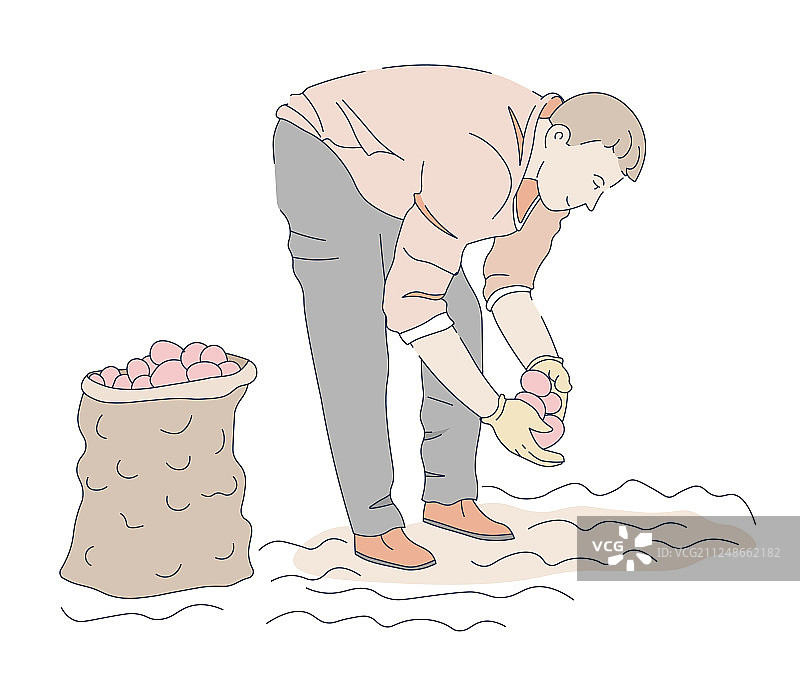 男人在花园的地面或土壤中种植土豆图片素材