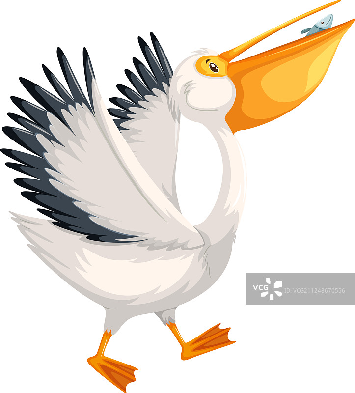 鹈鹕角色行走图片素材