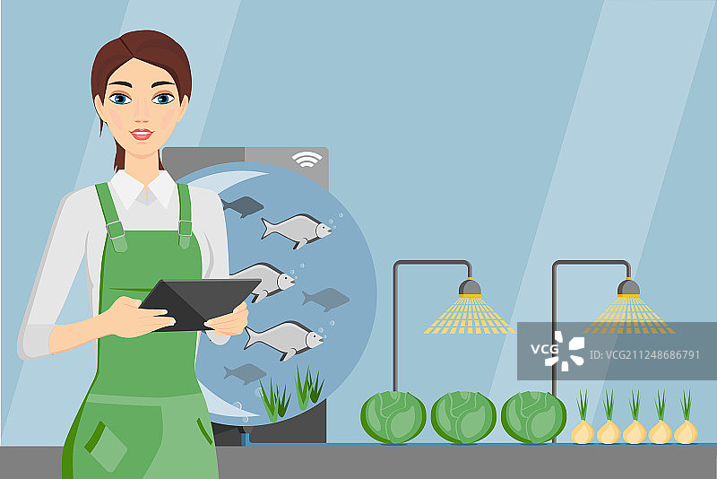 在采用鱼菜共生系统的温室中的农民图片素材