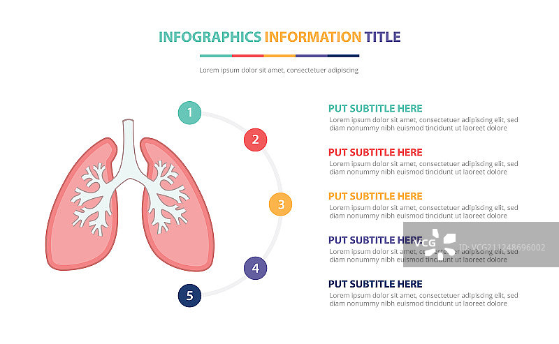 人体肺部解剖信息图表模板概念图片素材