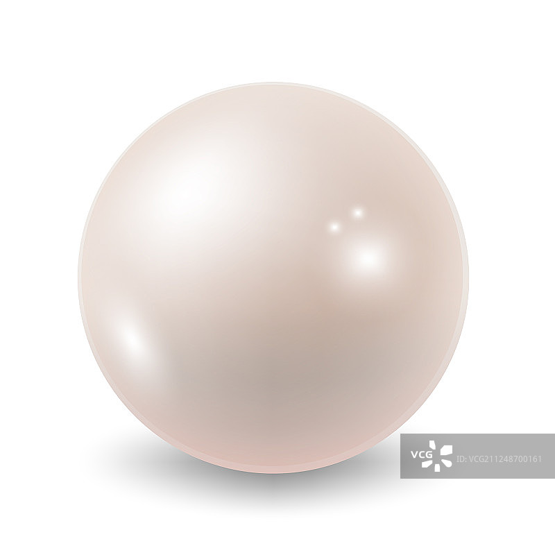 白色背景上的珍珠图片素材