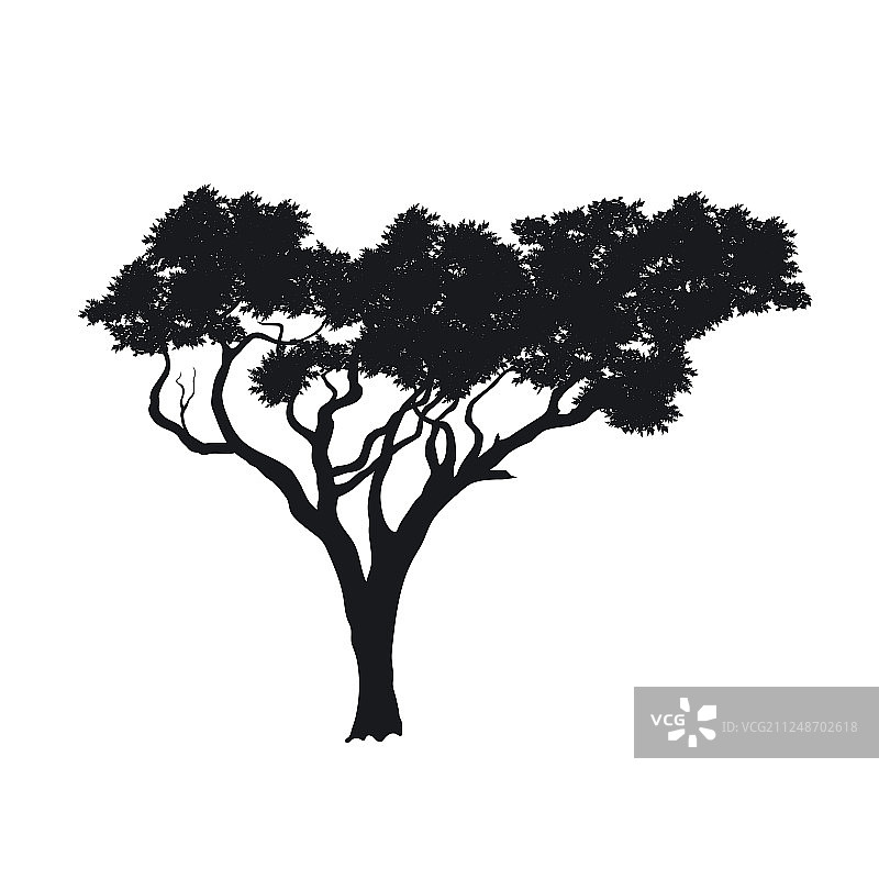 非洲树木的黑色轮廓剪影图片素材