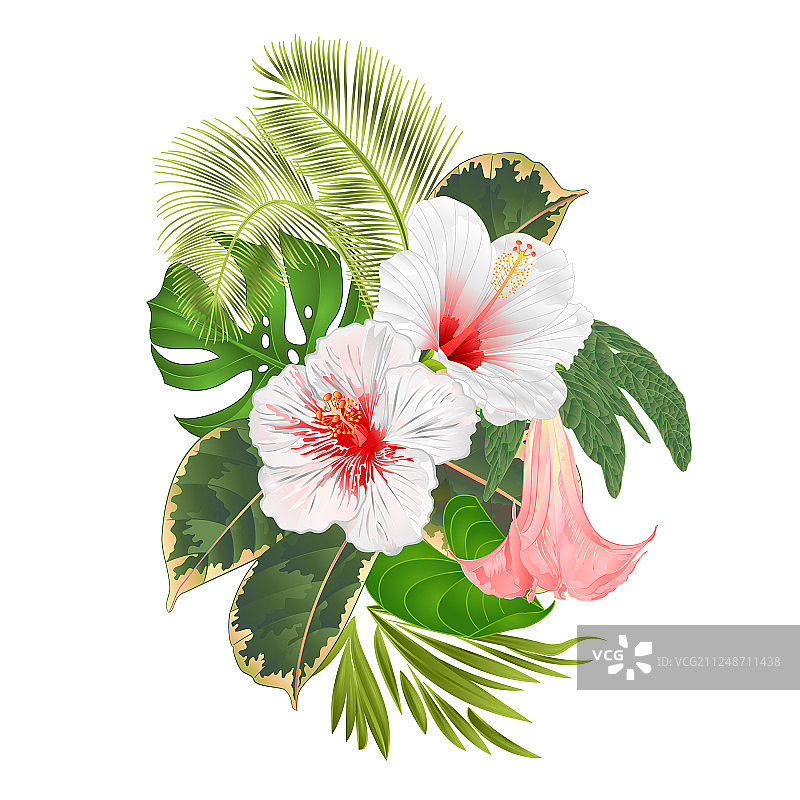 热带花卉插花图片素材