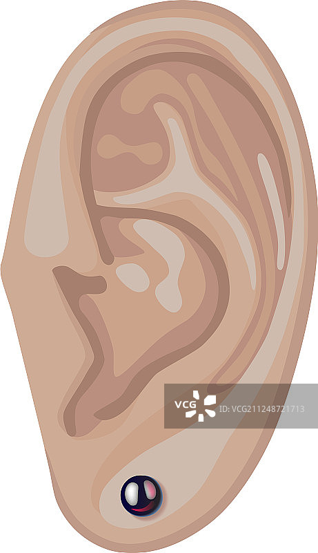 人的耳朵和耳环图片素材