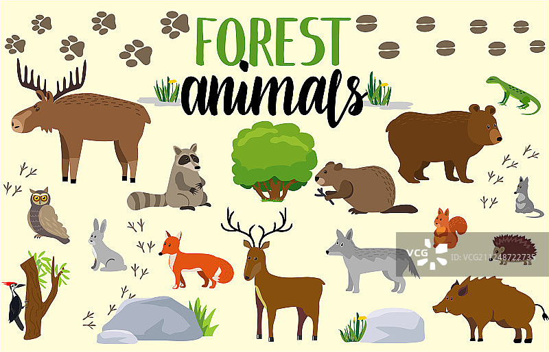 森林动物：可爱的动物手绘套装图片素材