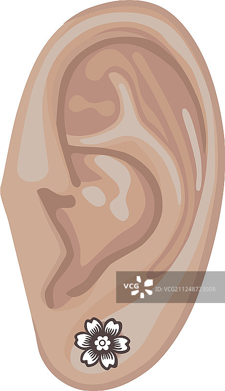 人的耳朵和耳环图片素材