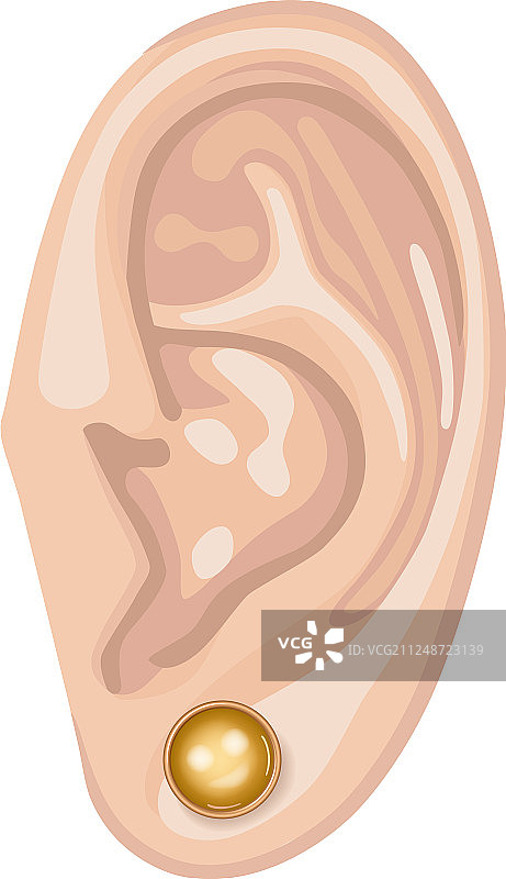 人的耳朵和耳环图片素材