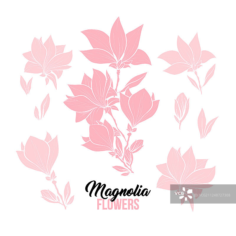 手绘玉兰花素材合集图片素材