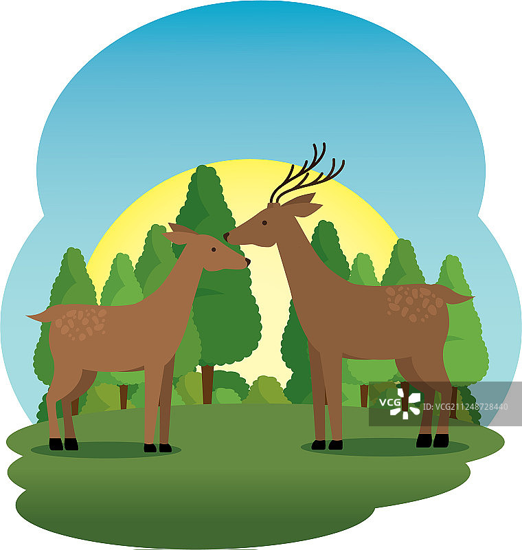 田野场景中的可爱小鹿夫妇图片素材