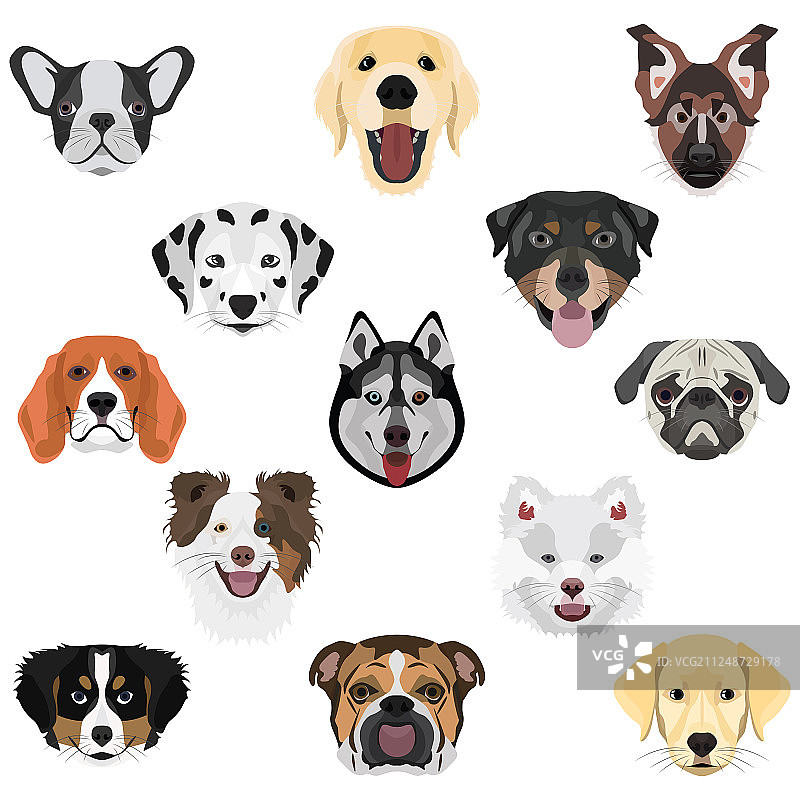 狗狗合集图片素材