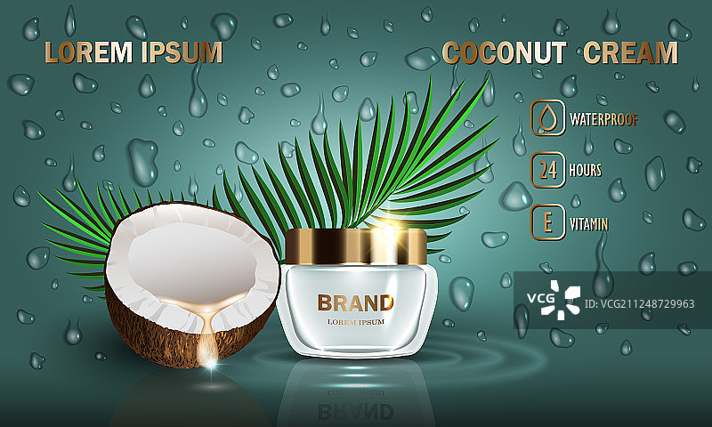 黑色背景下的椰子和盆栽植物特写图片素材