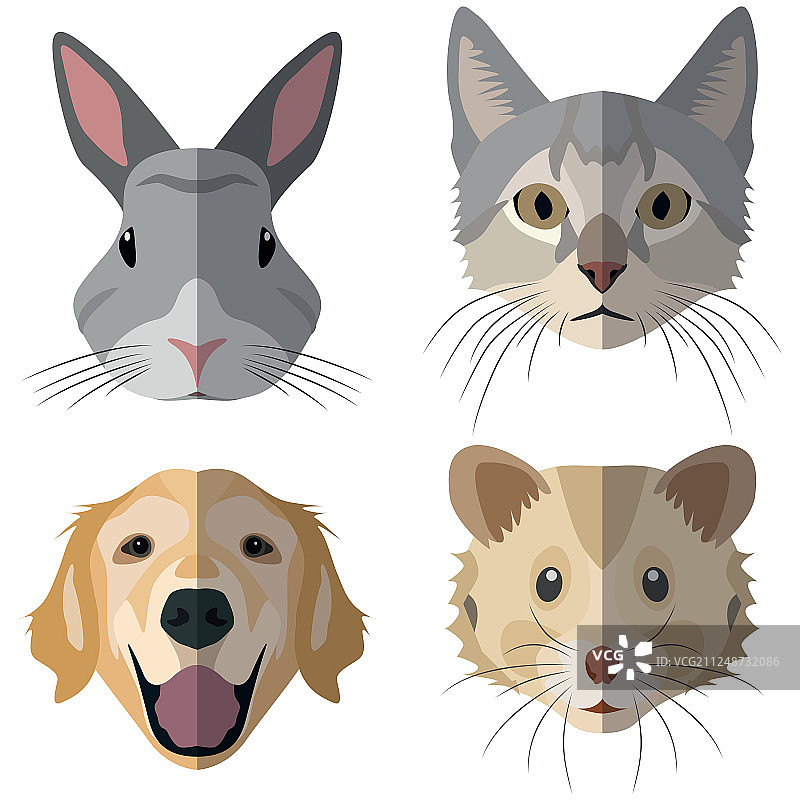 家畜头部合集图片素材