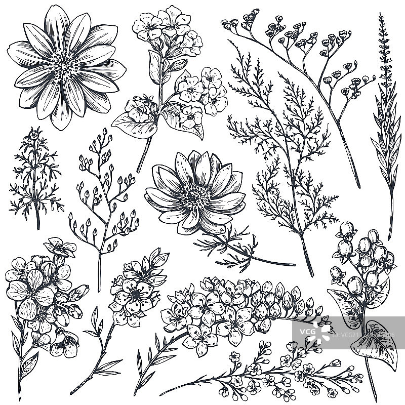 手绘春天花卉植物合集图片素材