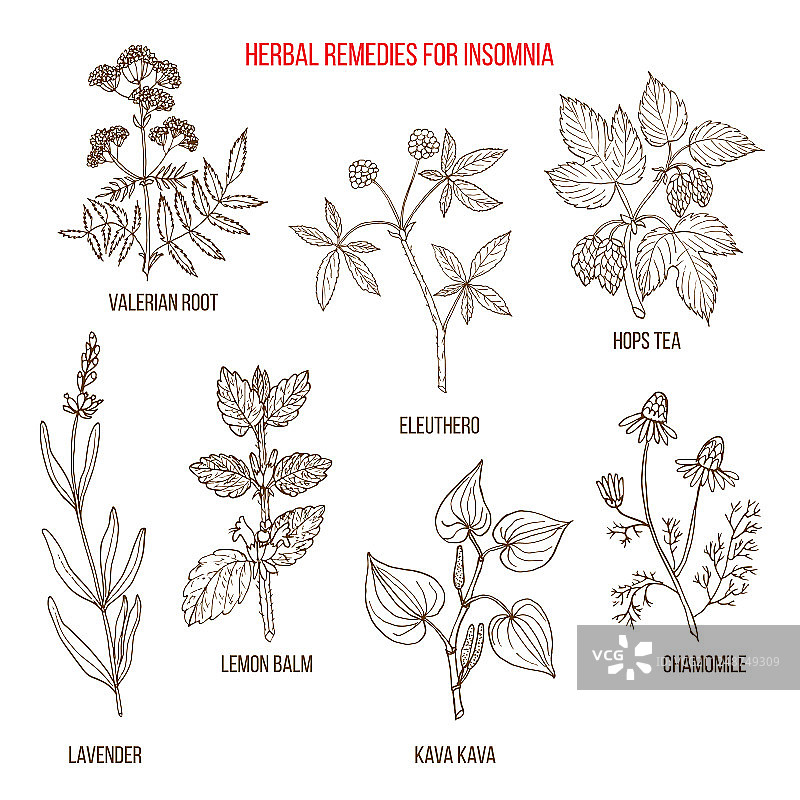 治疗失眠的最佳草药图片素材