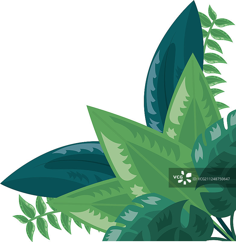 热带树叶绿植背景图片素材