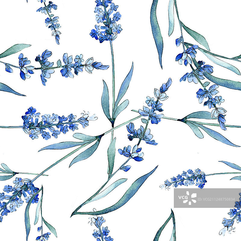 蓝色薰衣草花卉植物水彩背景插画，无缝背景图案图片素材
