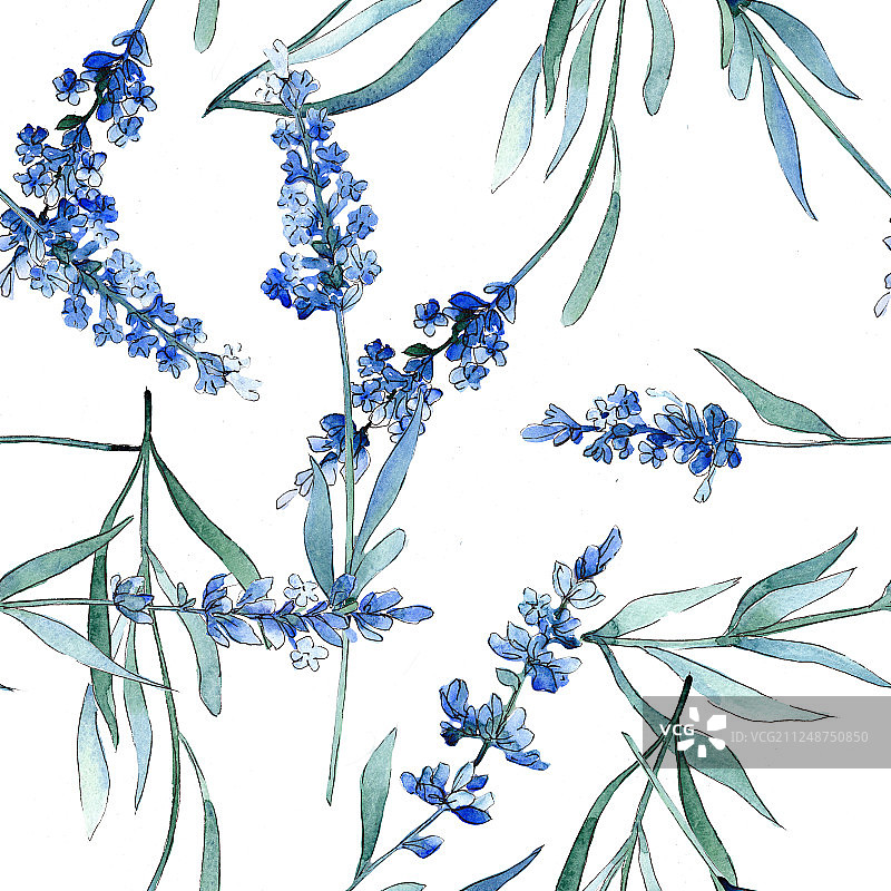 蓝色薰衣草花卉植物水彩背景插画，无缝背景图案图片素材