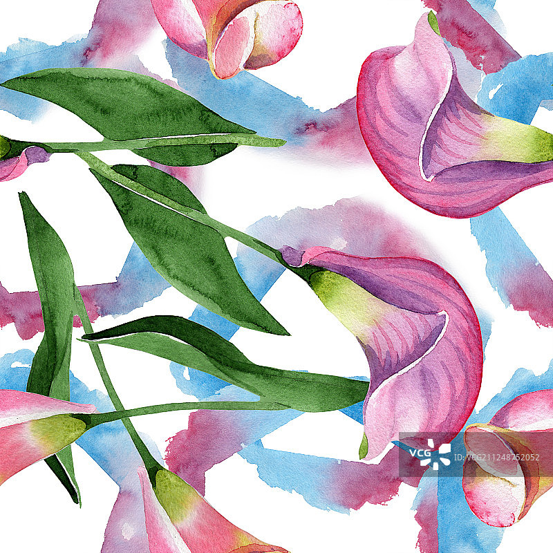 粉色海芋花卉植物花朵，水彩背景插图集，无缝背景图案图片素材