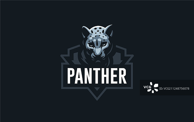 猎豹图像图片素材