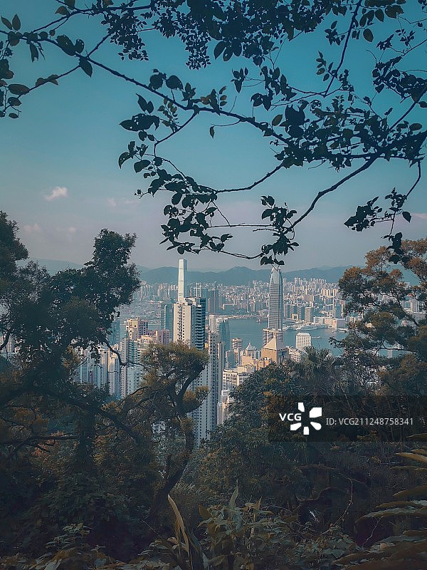 维港面纱图片素材