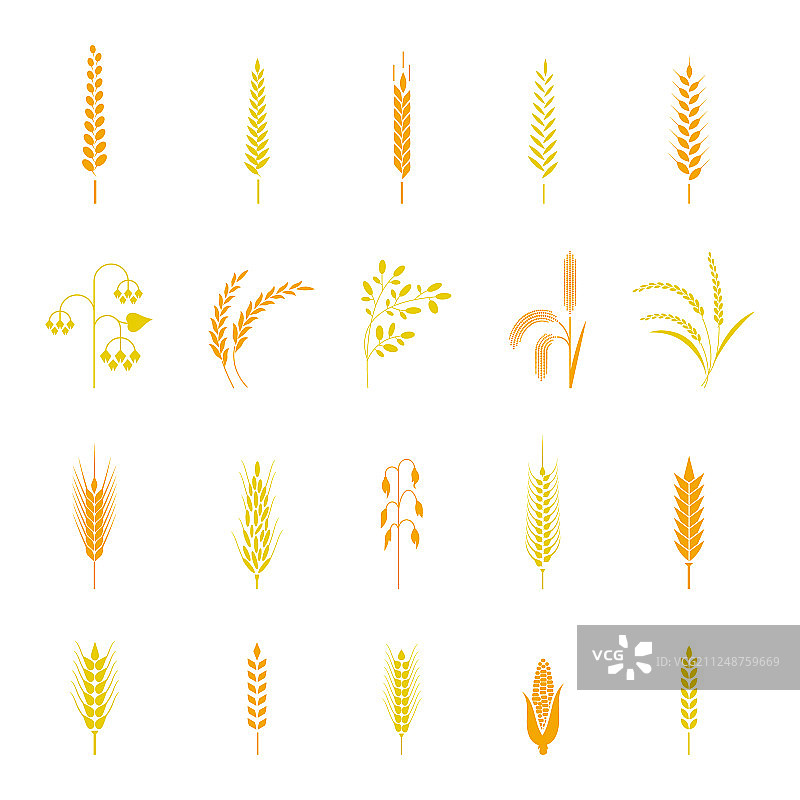 小麦稻穗图标合集图片素材