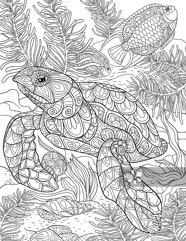 成人涂色书页：可爱的乌龟图案图片素材