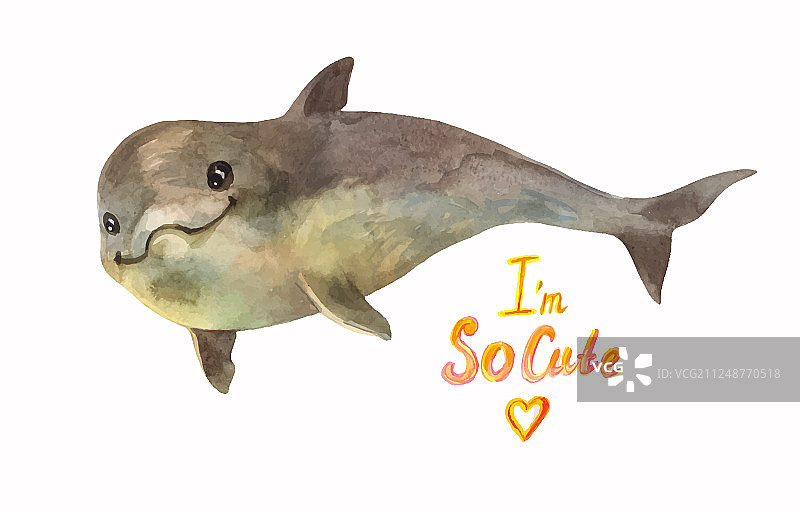 水彩小海豚图片素材