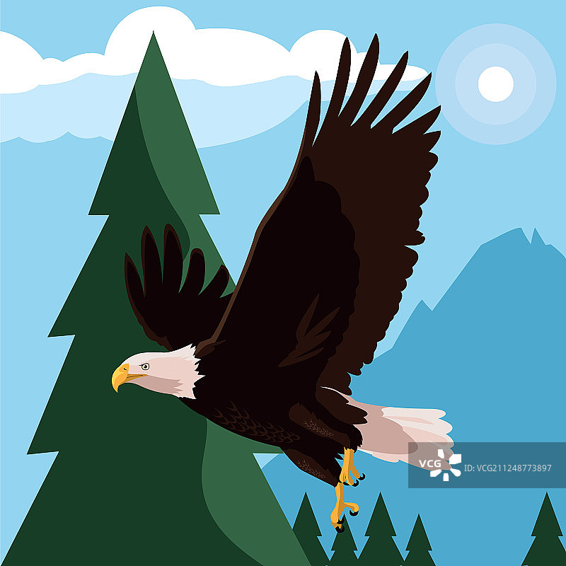 风景中飞翔的漂亮秃鹰图片素材