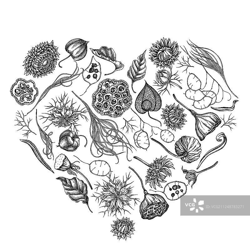 黑白黑色爱心花卉设计图片素材