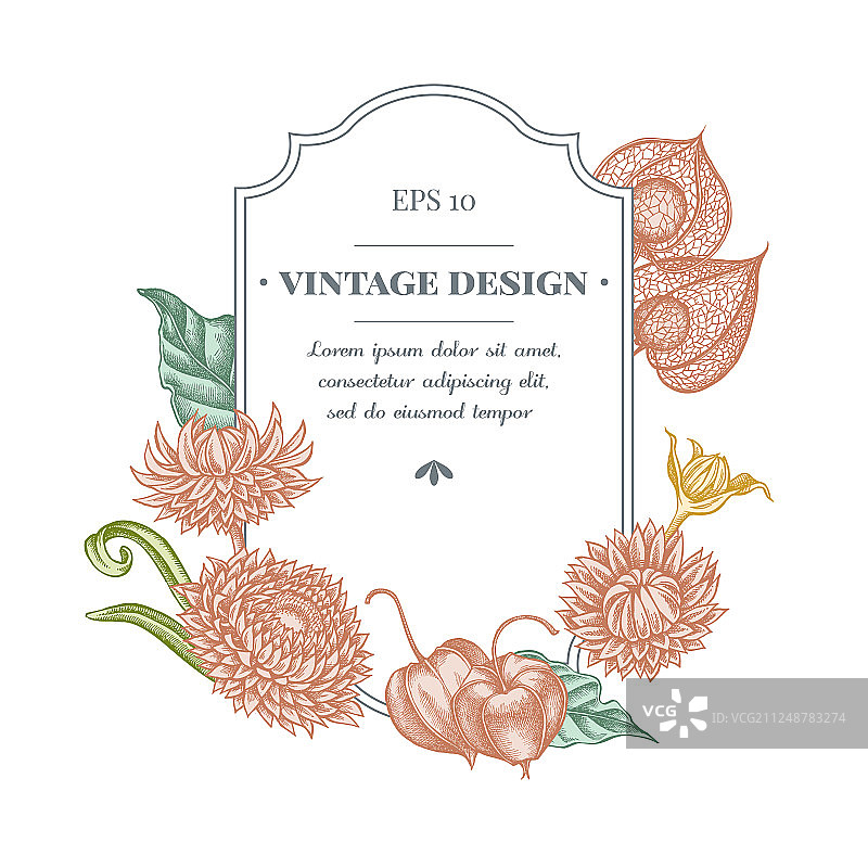 粉色香菜徽章设计图片素材