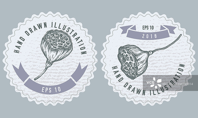 莲花单色标签图片素材