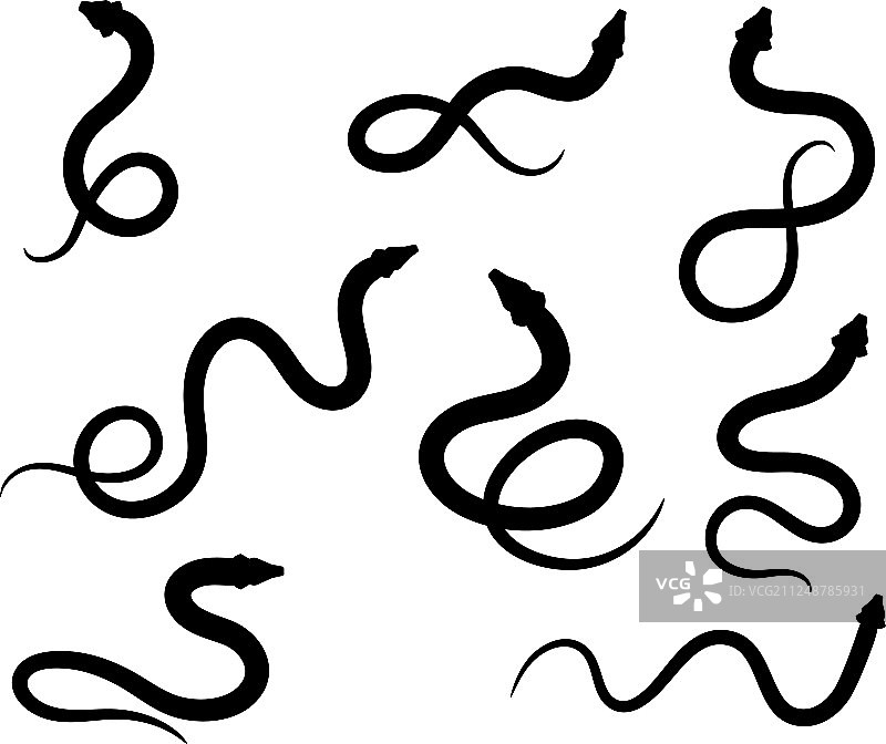 蛇形图标轮廓图片素材