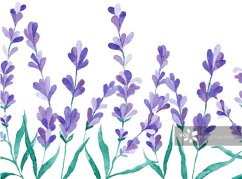 薰衣草手绘水彩边框图片素材