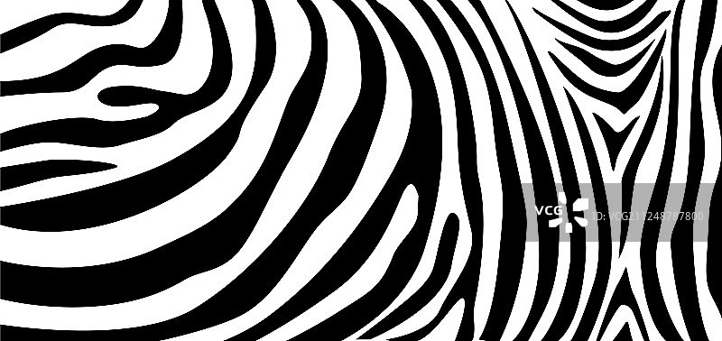 重复的斑马纹理图案图片素材